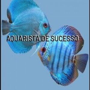 Imagem do curso Aquarista de Sucesso - Marcos Alvarenga
