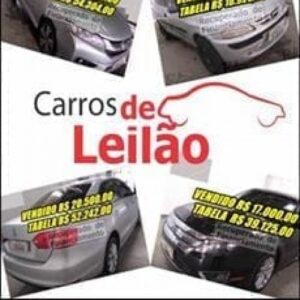 Imagem do curso Carros de Leilão - Michael Alves Faria