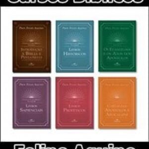 Imagem do curso Cursos Bíblicos - Felipe Aquino