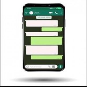 Imagem do curso Do Zero ao Whatsapp: Integração com ChatGPT - Reginaldo Santos