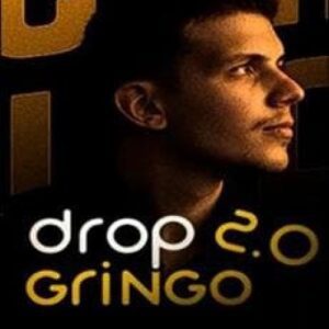 Imagem do curso Drop Gringo 2.0 - Luciano Galhardo