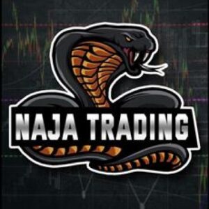 Imagem do curso Naja Trading Group: Take Certo - Gabriel da Costa