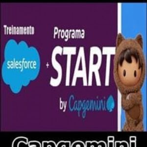 Imagem do curso Treinamento Salesforce - Capgemini