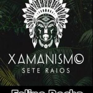 Imagem do curso Xamanismo Sete Raios - Felipe Rocha