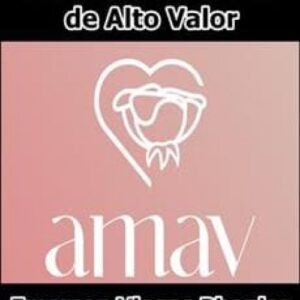 Imagem do curso Academia Mulheres de Alto Valor - Emerson Viegas Phonlor