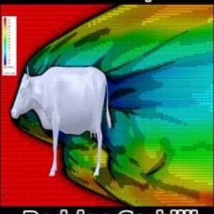 Imagem do curso Aerodinâmica Aplicada - Rodrigo Sorbilli