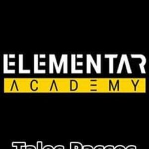 Imagem do curso Elementar Academy - Tales Passos