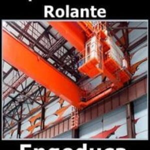 Imagem do curso Galpão com Ponte Rolante - Engeduca