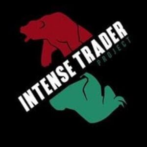 Imagem do curso Intense Trader: By Steps - Daniel Stein