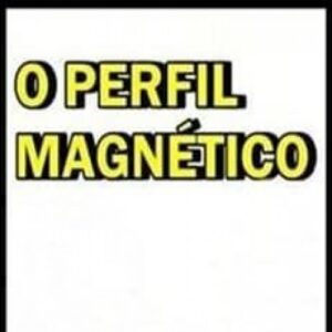 Imagem do curso Perfil Magnético - João Abrantes