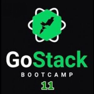Imagem do curso Bootcamp - GoStack 11 + Bônus Expansion Week - RocketSeat