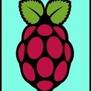 Imagem do curso Curso Raspberry Pi Completo e Prático - Vitor Mazuco