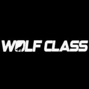 Imagem do curso Curso Wolf Class - Rodrigo Bispo