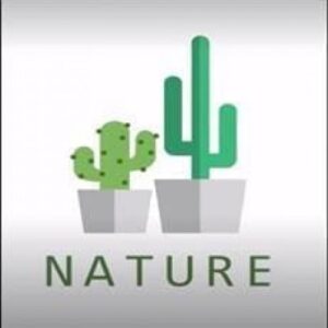 Imagem do curso Decoração em Cimento - Nature Handmade