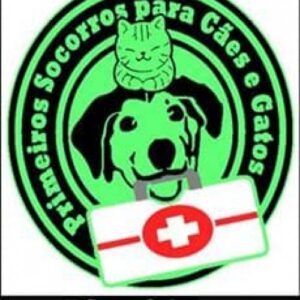 Imagem do curso Primeiros Socorros Para Cães e Gatos - Edgard Gomes