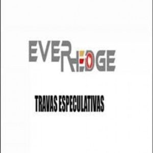 Imagem do curso Travas Especulativas - Everhedge