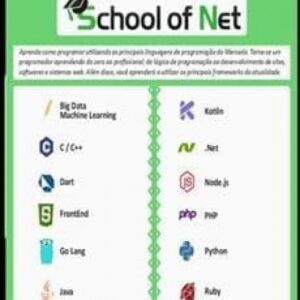 Imagem do curso Programação - School of Net