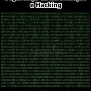 Imagem do curso Segurança da Informação e Hacking - Afonso da Silva Espindola